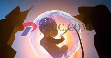懷孕33周到36周，胎兒發(fā)育成什么樣呢？看看你家胎寶寶發(fā)育達標嗎！(圖1)