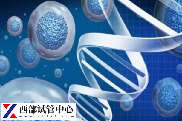 三代試管技術可以篩選出健康的胚胎